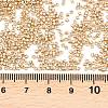 MIYUKI Delica Beads SEED-X0054-DB2501-3