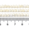 Shell Beads Strands SSHEL-E571-38-4mm-5