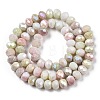 Ombre Effect Dyed Glass Beads Strands GLAA-C023-02-B03-2