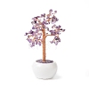 Natural Amethyst Chips with Brass Wrapped Wire Money Tree on Ceramic Vase Display Decorations DJEW-B007-02B-1