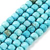 Dyed Natural Turquoise Beads Strands G-H028-A04-01-1