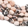 Natural Pink Zebra Jasper Beads Strands GG-CBA787B-A06-5
