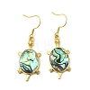 Brass Natural Paua Shell Dangle Earrings EJEW-M060-19A-G-4