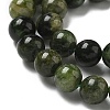 Natural Green Diopside Beads Strands G-K382-B01-01-4