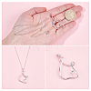 DIY Necklace Making Kits DIY-DR0007-77-3