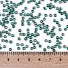 TOHO Round Seed Beads SEED-JPTR08-0118-4