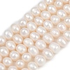 Natural Cultured Freshwater Pearl Beads Strands PEAR-I007-07J-02A-2