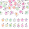 30Pcs Transparent Acrylic and Glitter Powder Pendants TACR-TA0001-91-2
