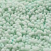 Macaron Color Opaque Frosted Glass Seed Beads SEED-K009-12B-07-3