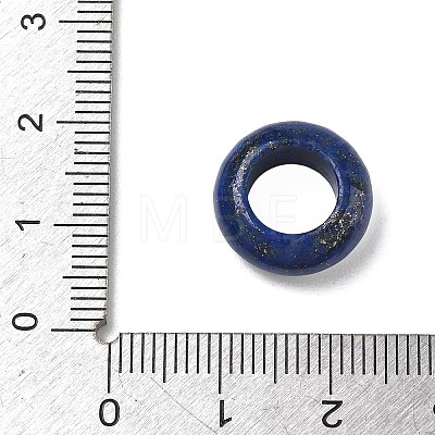 Natural Lapis Lazuli Beads G-T149-01B-1