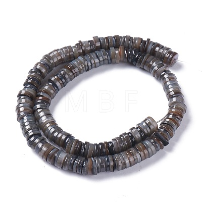 Natural Freshwater Shell Beads Strands BSHE-I016-04-1