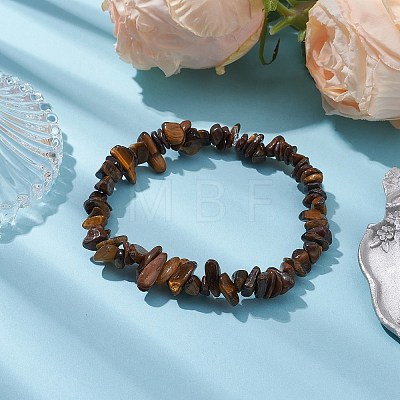 Natural Tiger Eye Chip Beaded Stretch Bracelets for Women Men BJEW-JB10647-01-1