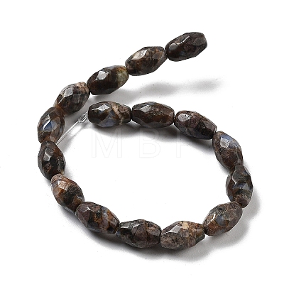 Natural Llanite Beads Strands G-P520-C24-01-1