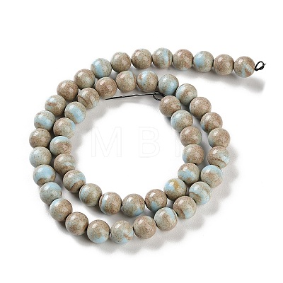 Natural Rainbow Alashan Agate Beads Strands G-NH0022-A07-02-1