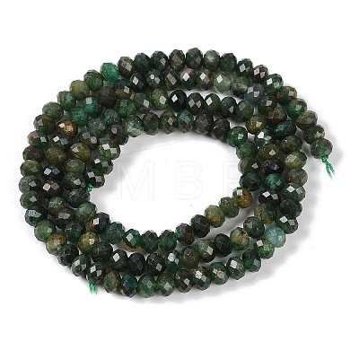 Natural Fuchsite Beads Strands G-G139-B13-01-1