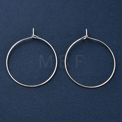 Iron Earring Findings IFIN-R211-01S-1