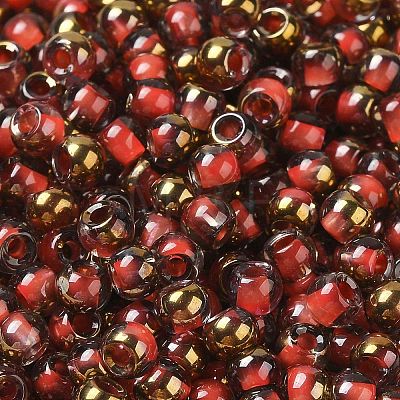 Glass Seed Beads SEED-H002-B-D205-1