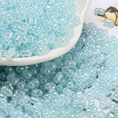 Ceylon Glass Seed Beads SEED-K009-02B-33-1