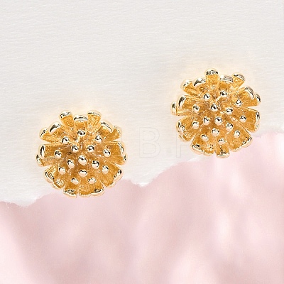 Brass Stud Earrings EJEW-Q014-34G-1