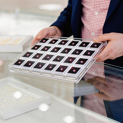 24-Grid Transparent Acrylic Loose Diamond Package Organizer Boxes CON-WH0085-207B-1