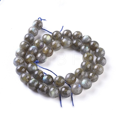 Natural Labradorite Round Bead Strands G-I156-01-10mm-1