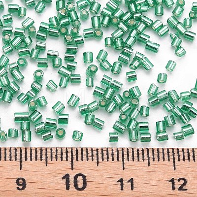 Glass Bugle Beads SEED-S032-08A-50A-1