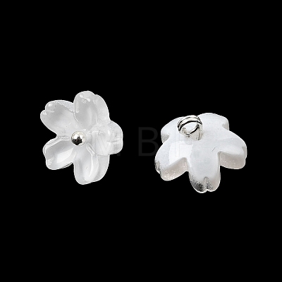 Glass Charms GLAA-G127-05J-1