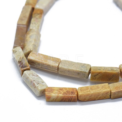 Natural Fossil Coral Beads Strands G-F631-E05-1