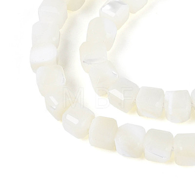 Natural Trochid Shell/Trochus Shell Beads Strands SSHEL-N041-04B-01-1