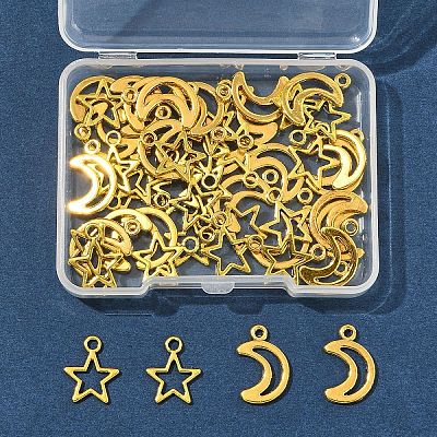 50Pcs 2 Styles Tibetan Style Alloy Charms TIBEP-FS0001-29AG-1