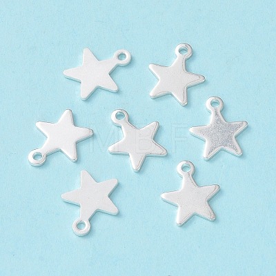 304 Stainless Steel Charms X-STAS-L234-069S-1