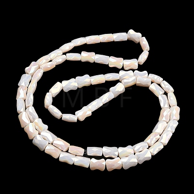 AB Color Plated Glass Beads Strands EGLA-P051-06B-B07-1