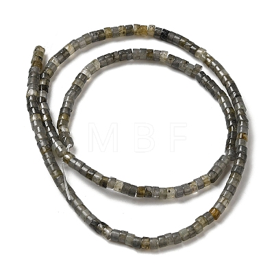 Natural Larvikite Beads Strands G-E612-A08-1