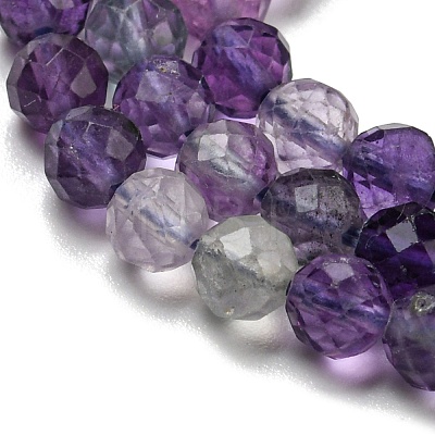 Natural Fluorite Beads Strands G-K315-B01-01-1