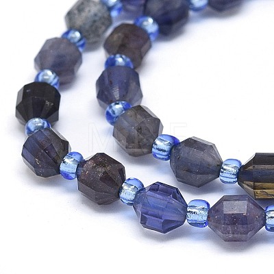 Natural Iolite Beads Strands G-O201B-02-1