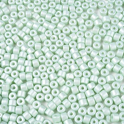 Baking Paint Pearlized Glass Seed Beads SEED-T008-03P-1