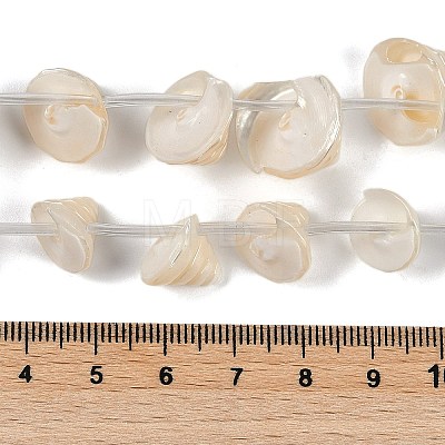 Natural Shell Beads Strands X-SHEL-K009-11-1