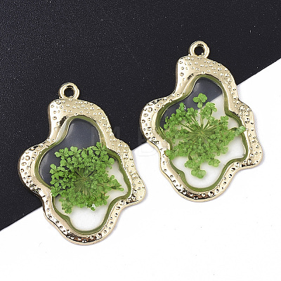 Epoxy Resin Pendants LS-X-RESI-T045-028B-1
