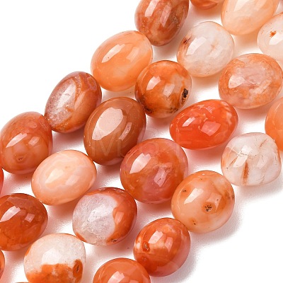 Natural Red Botswana Agate Beads Strands G-G117-A05-06-1