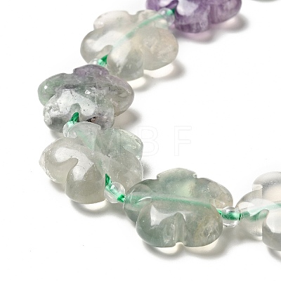 Natural Fluorite Beads Strands G-D475-02J-1