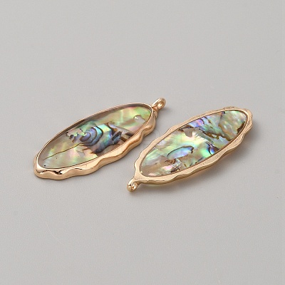 Resin Imitation Abalone Paua Shell Pendants FIND-WH0417-12B-1