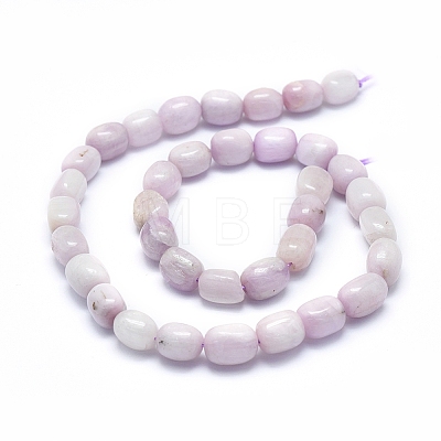 Natural Kunzite Beads Strands G-D0010-17B-1