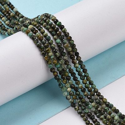 Natural African Turquoise(Jasper) Beads Strands G-P472-02-1