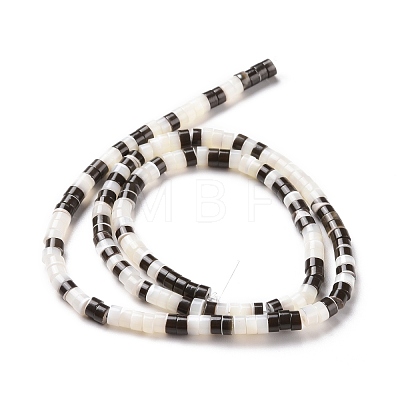 Natural Trochid Shell Beads Strands SSHEL-G023-02C-04-1