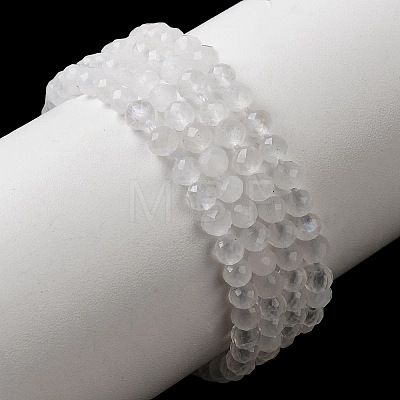 Natural Rainbow Moonstone Beads Strands G-H336-A13-02-1