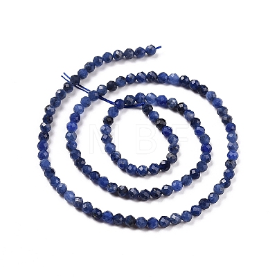 Natural Sodalite Beads Strands X-G-C009-A07-1
