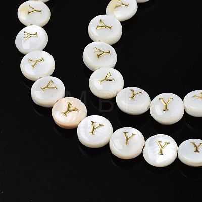 Natural Freshwater Shell Beads SHEL-S276-168Y-1