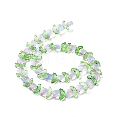Transparent Glass Beads Strands LAMP-H061-02F-1