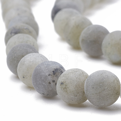 Natural Labradorite Beads Strands G-T106-227-1