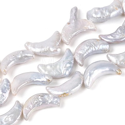 Natural Baroque Keshi Pearl Beads Strands PEAR-N020-P06-01A-1